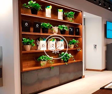 MARIJUANA Wall Upright SHOWCASES